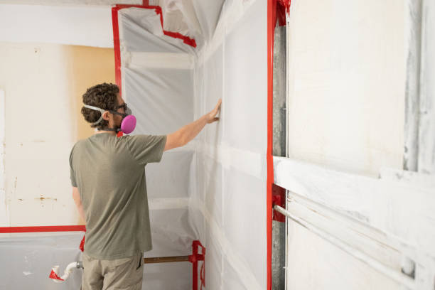 Mold Remediation for Vacation Homes in Grand Island, NE